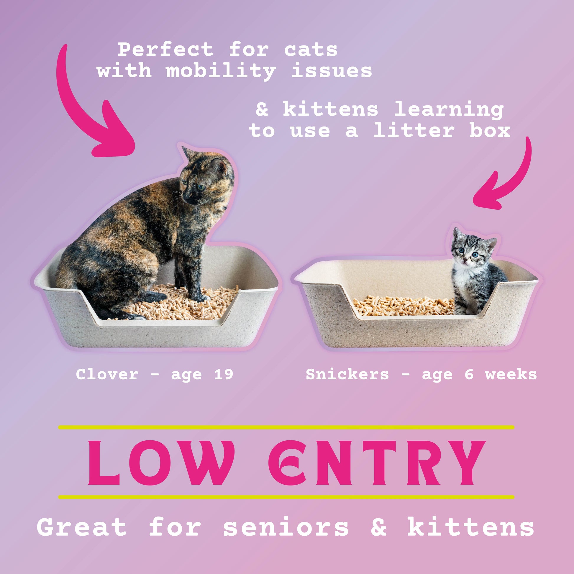 Tiny Toe Beans - Disposable Low Entry Litter Boxes for Cats & Kittens